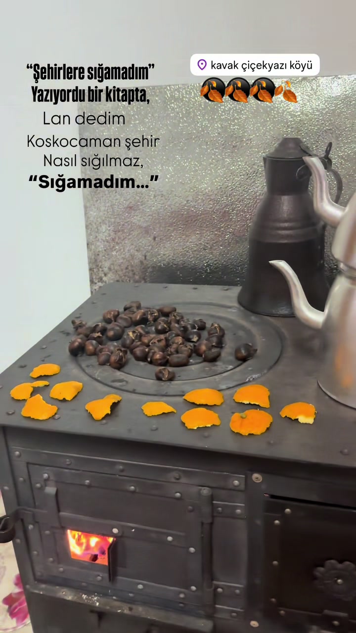 @Filiz Karakış
