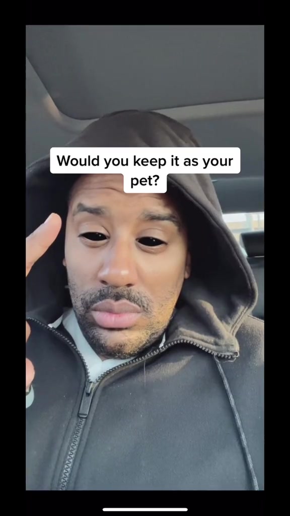 @SCARYVIDEOS
