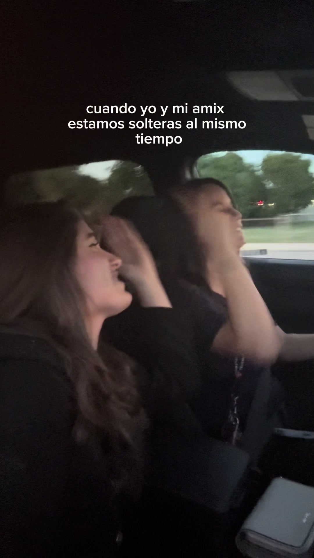 @lauraibonth