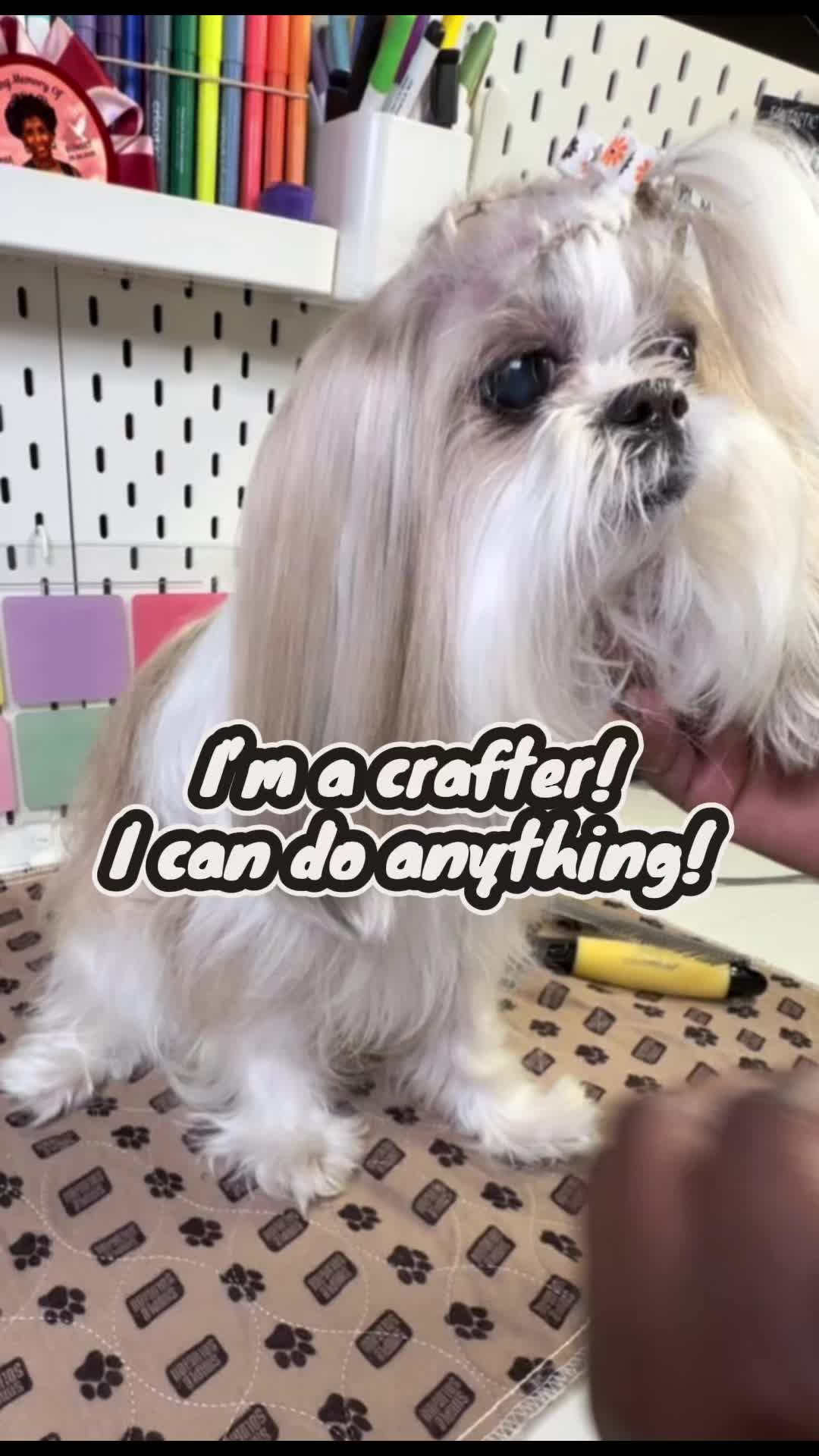 @Rochelle | Creative Designer