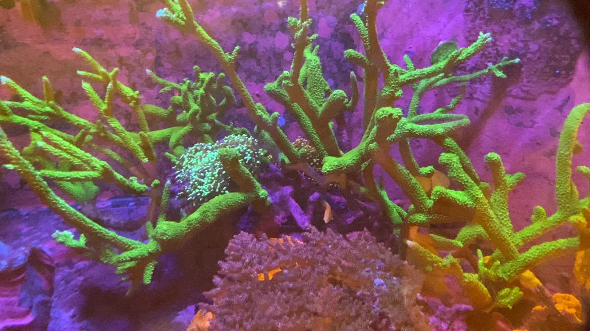 @Ts_reefs