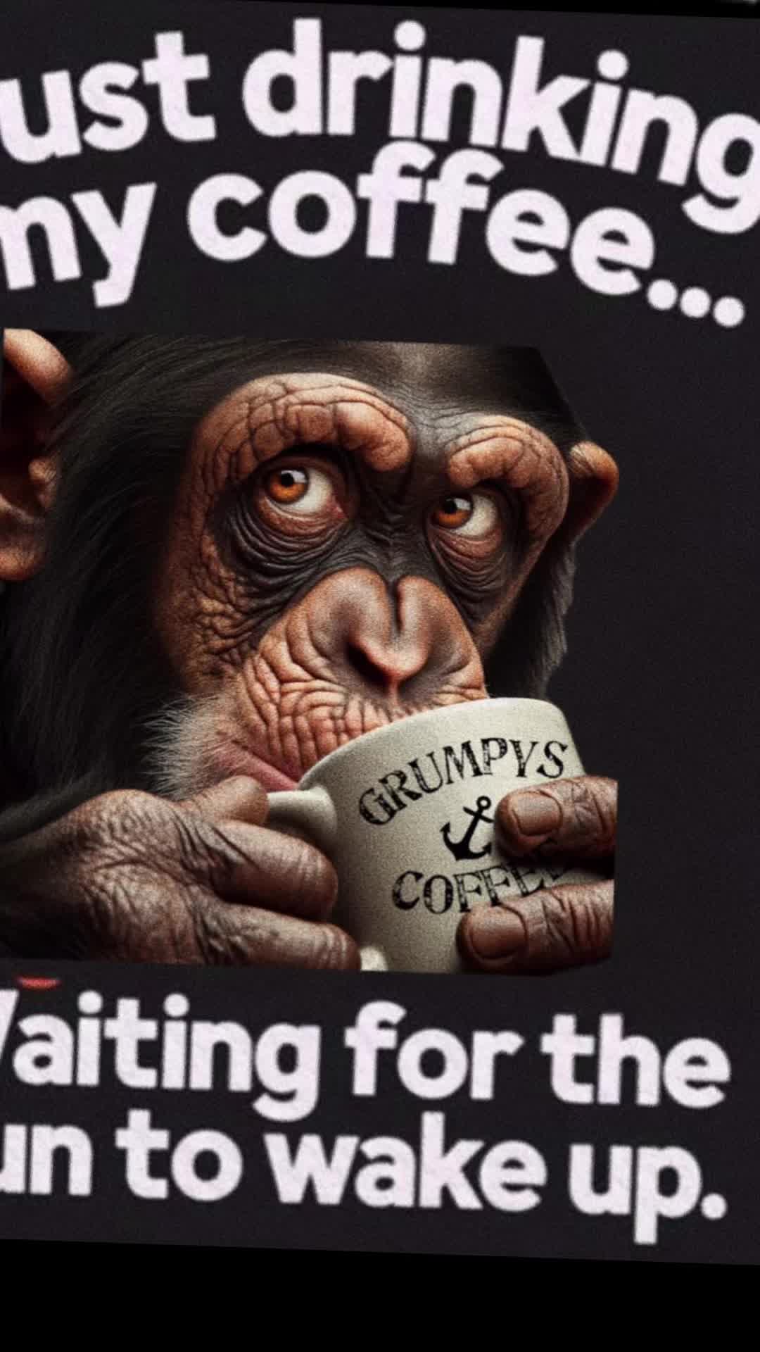 @🇺🇸GRUMPYS COFFEE🇺🇸