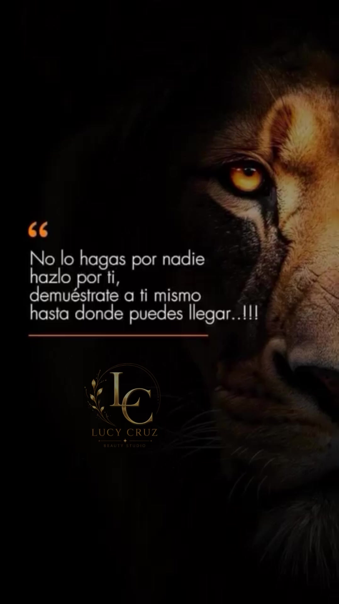 @Lucy Cruz