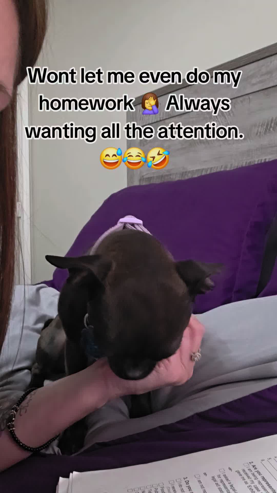 @Ashley 🫦