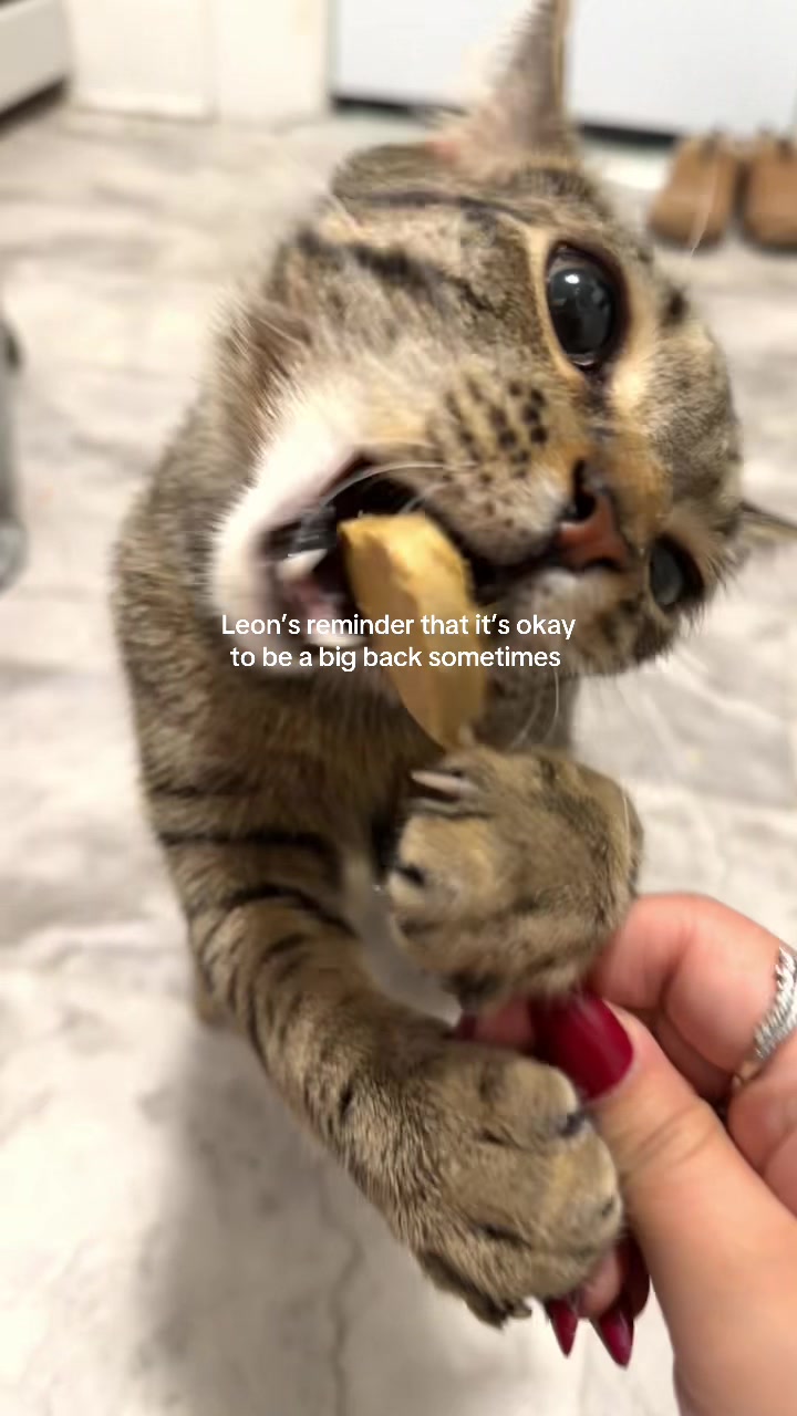 @The Three Fatties
