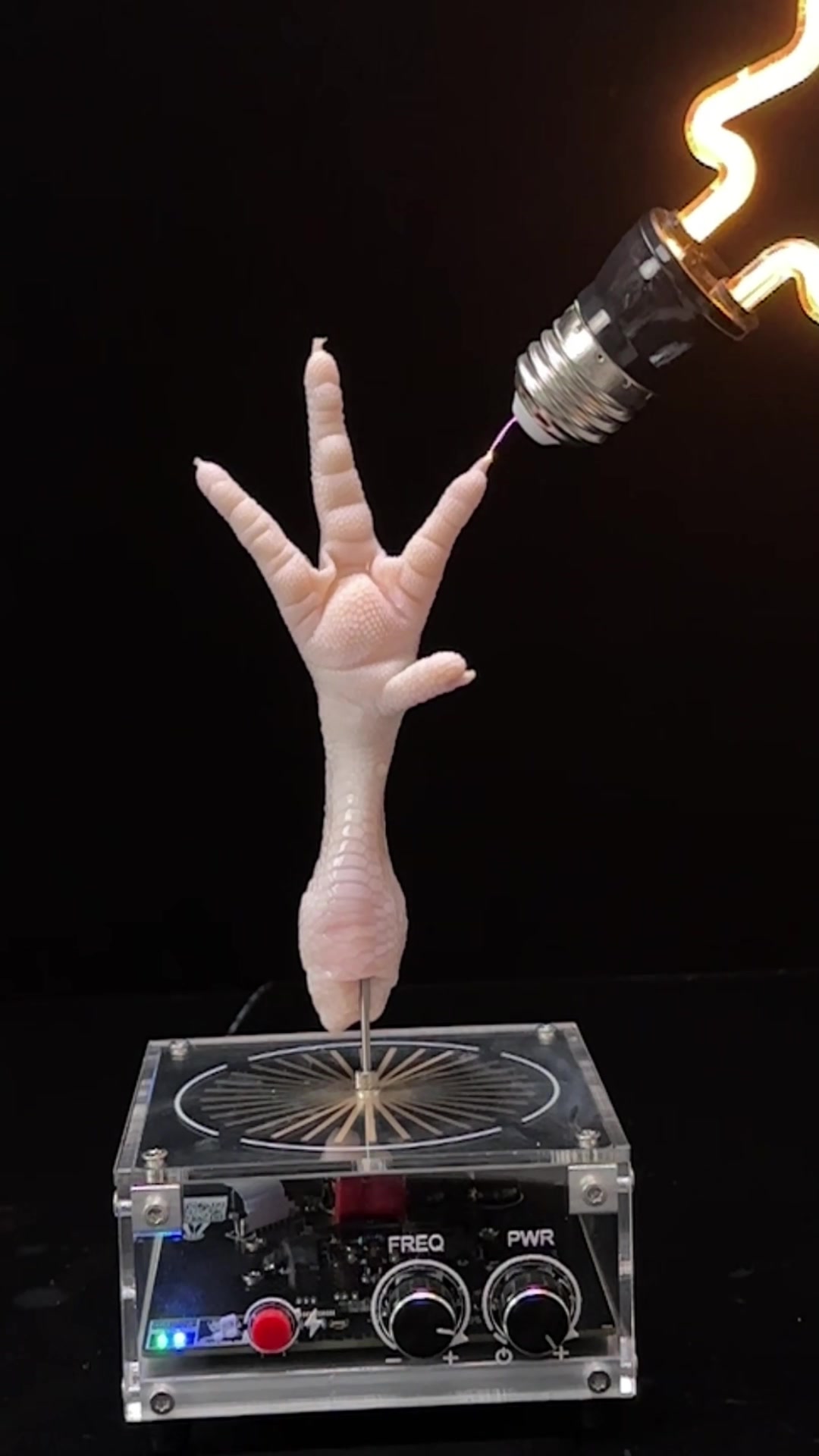 @Nikola Toy