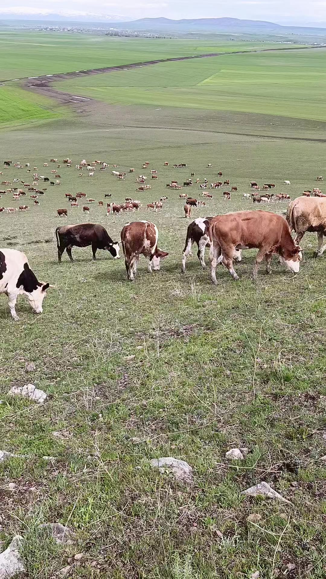 @FERHAT ÇUKU 76☀️