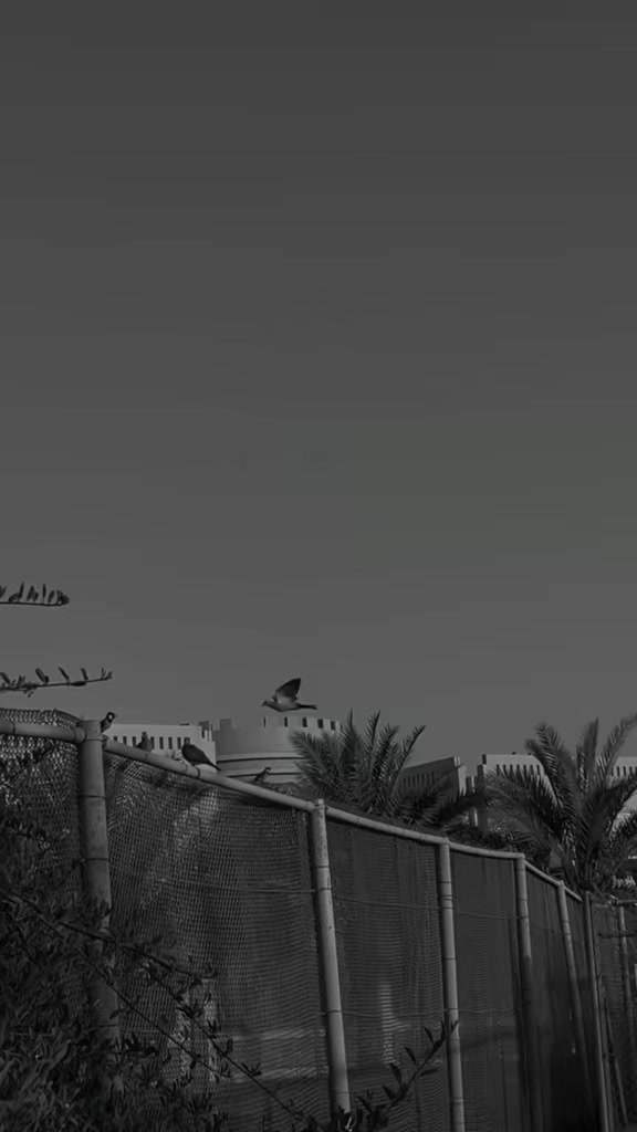 @🖤ᚔ سِیاہ بخت ᚔ🖤