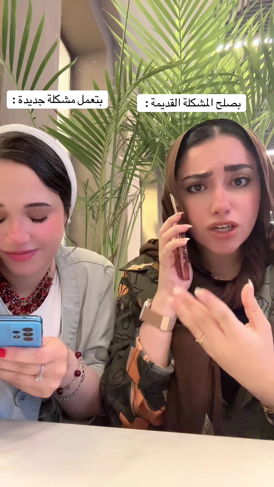 @Sara Ibrahim