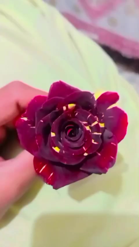 @🇲 🇺 🇸 🇦 🇼 🇦 🇷 𝑴.😍.P
