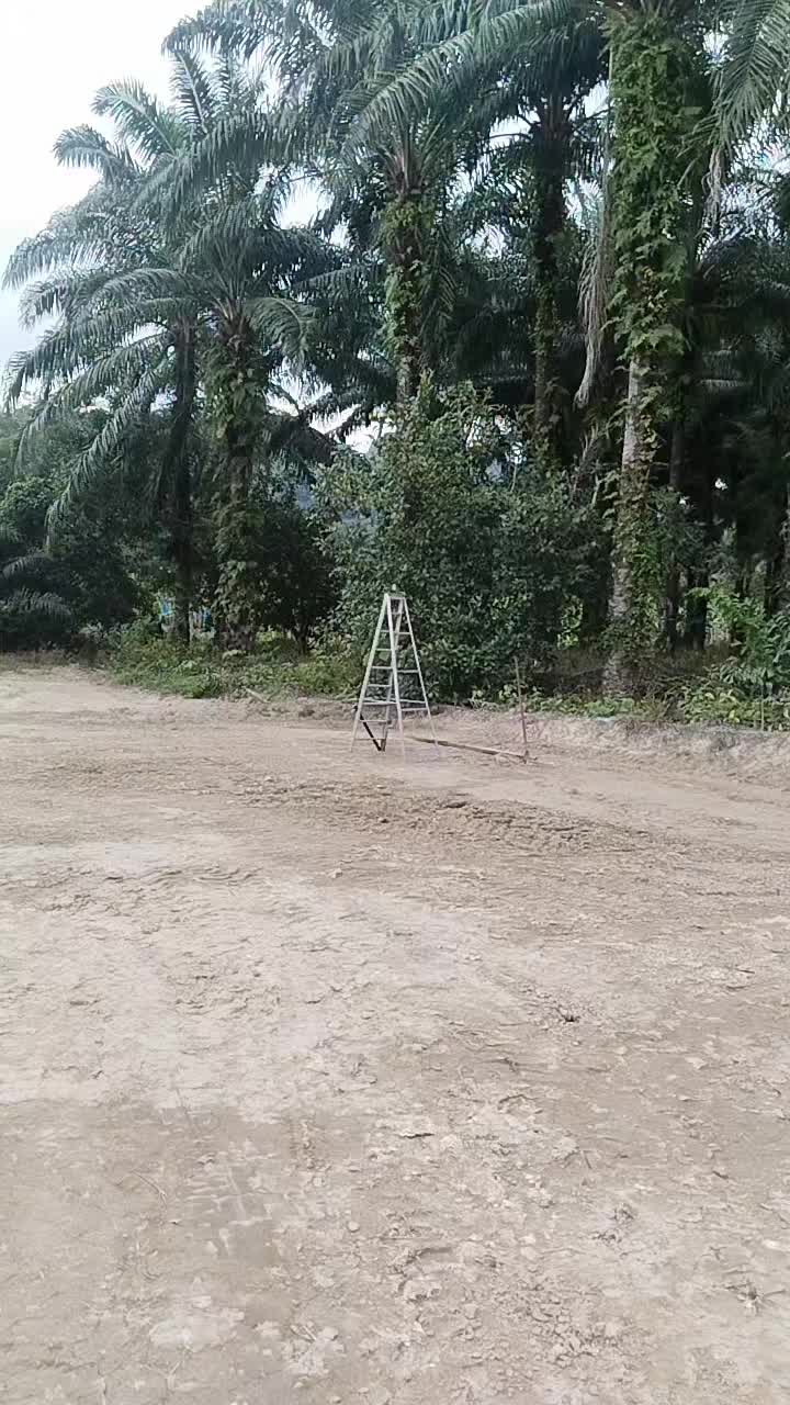 @arulalfan8