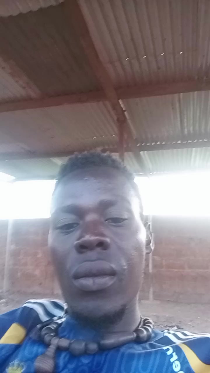 @petit boss6