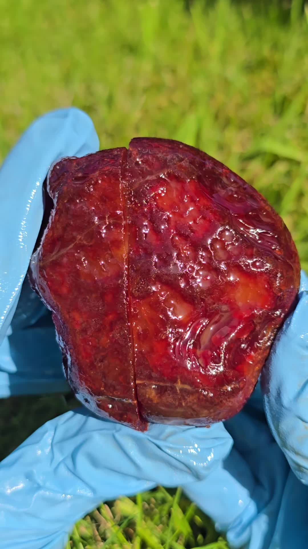 @Agate Magnet