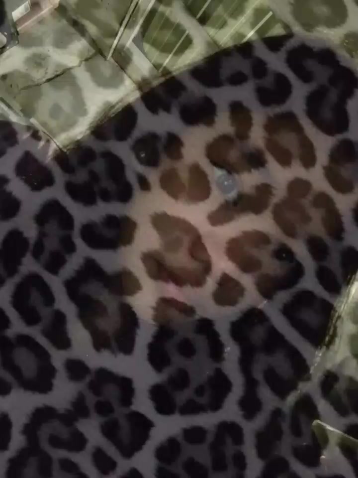 @Lexza⭒๋𐙚
