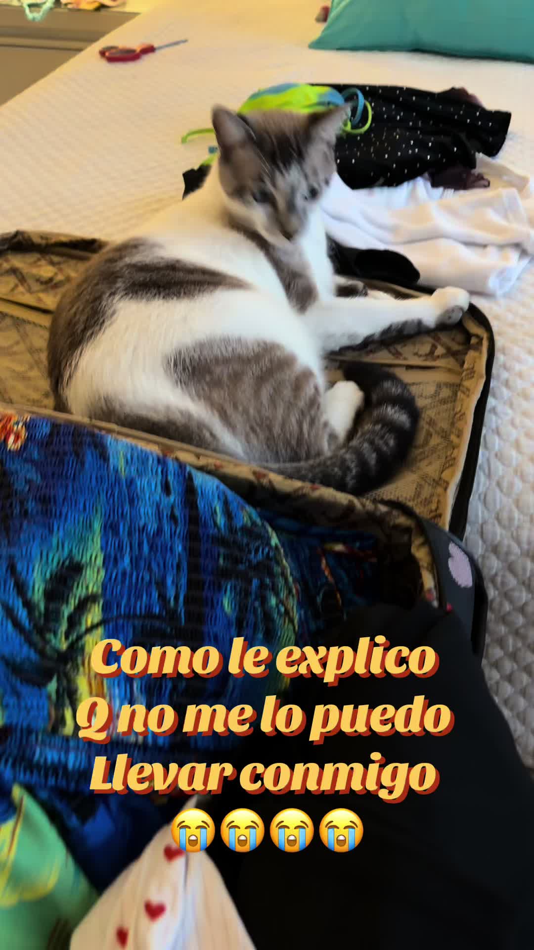 @Damaris