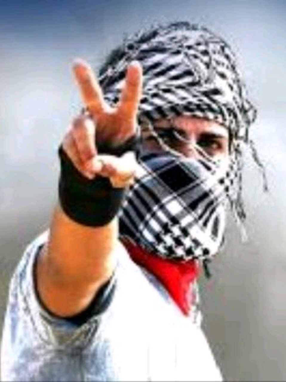 @✌️ Free Palestine 🍉🤍🌍💙😎