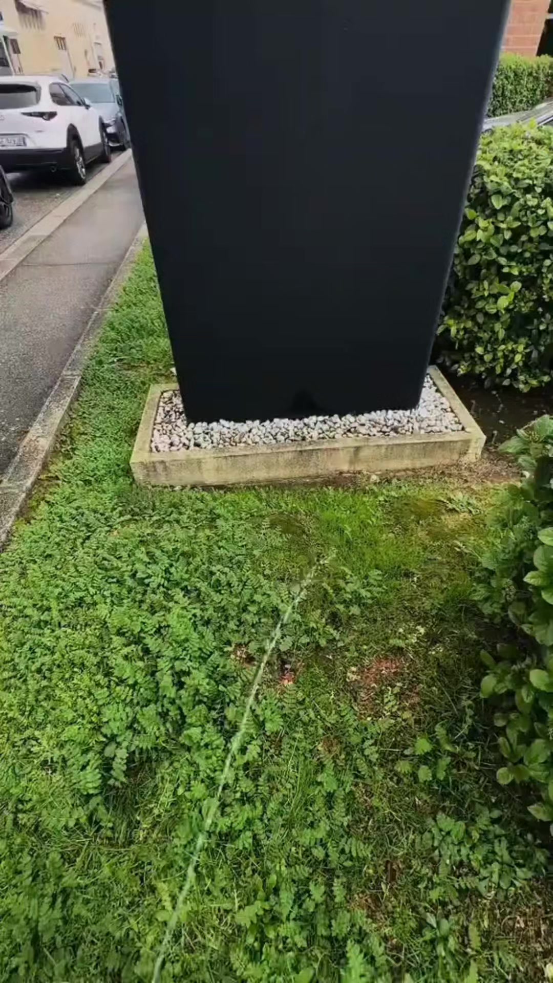@55ARAM555