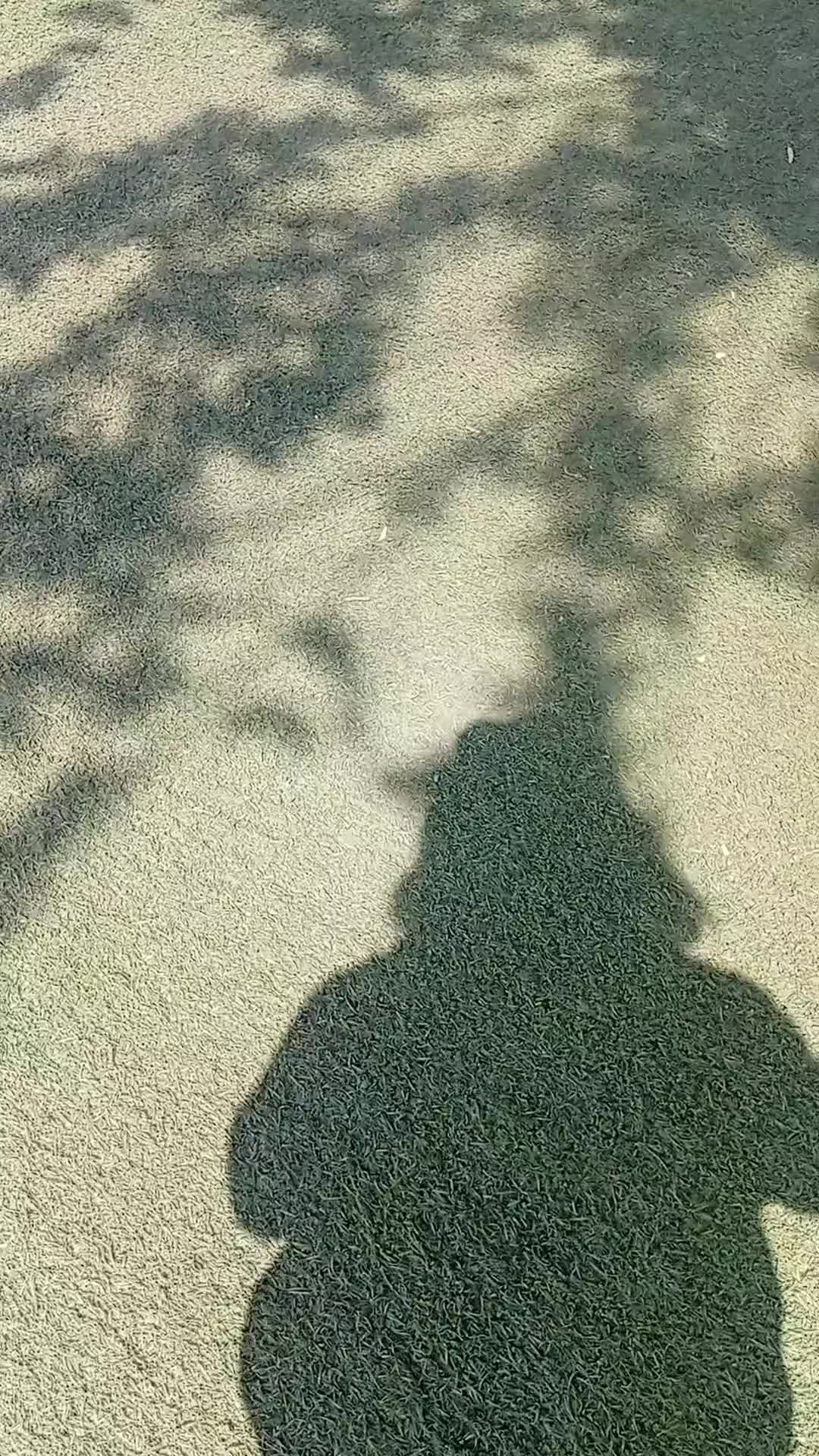 @Alıyev_lər