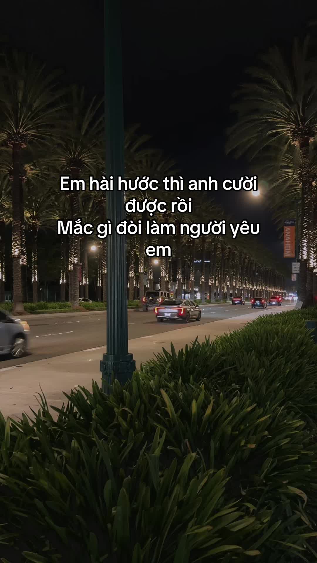 @Thuy Sống Ở Mỹ  🇺🇸🇻🇳