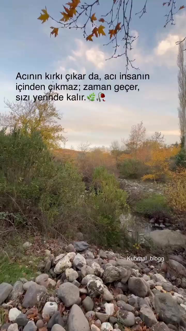 @Yıldız_leyla5549🌷