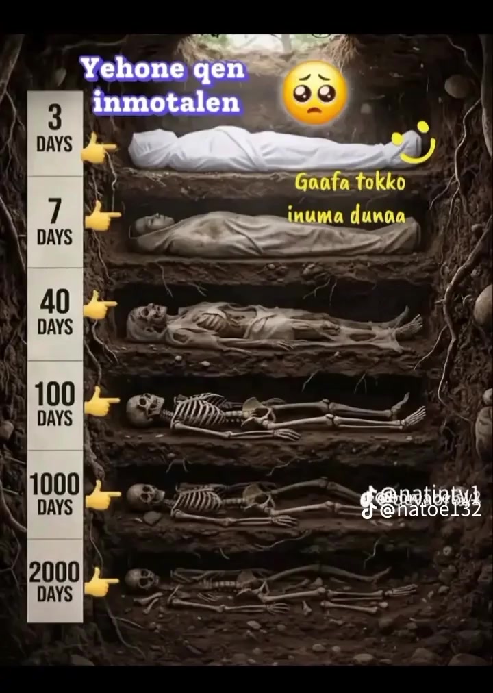 @หโโฎ๐ท๐๐ญโฐ๐ซ๐ ๐ข๐ซ๐ฅห.๐โ