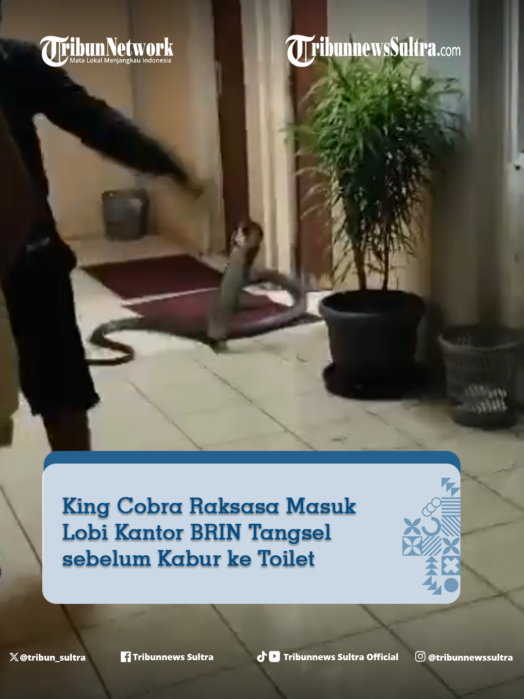 @Tribunnews Sultra Official