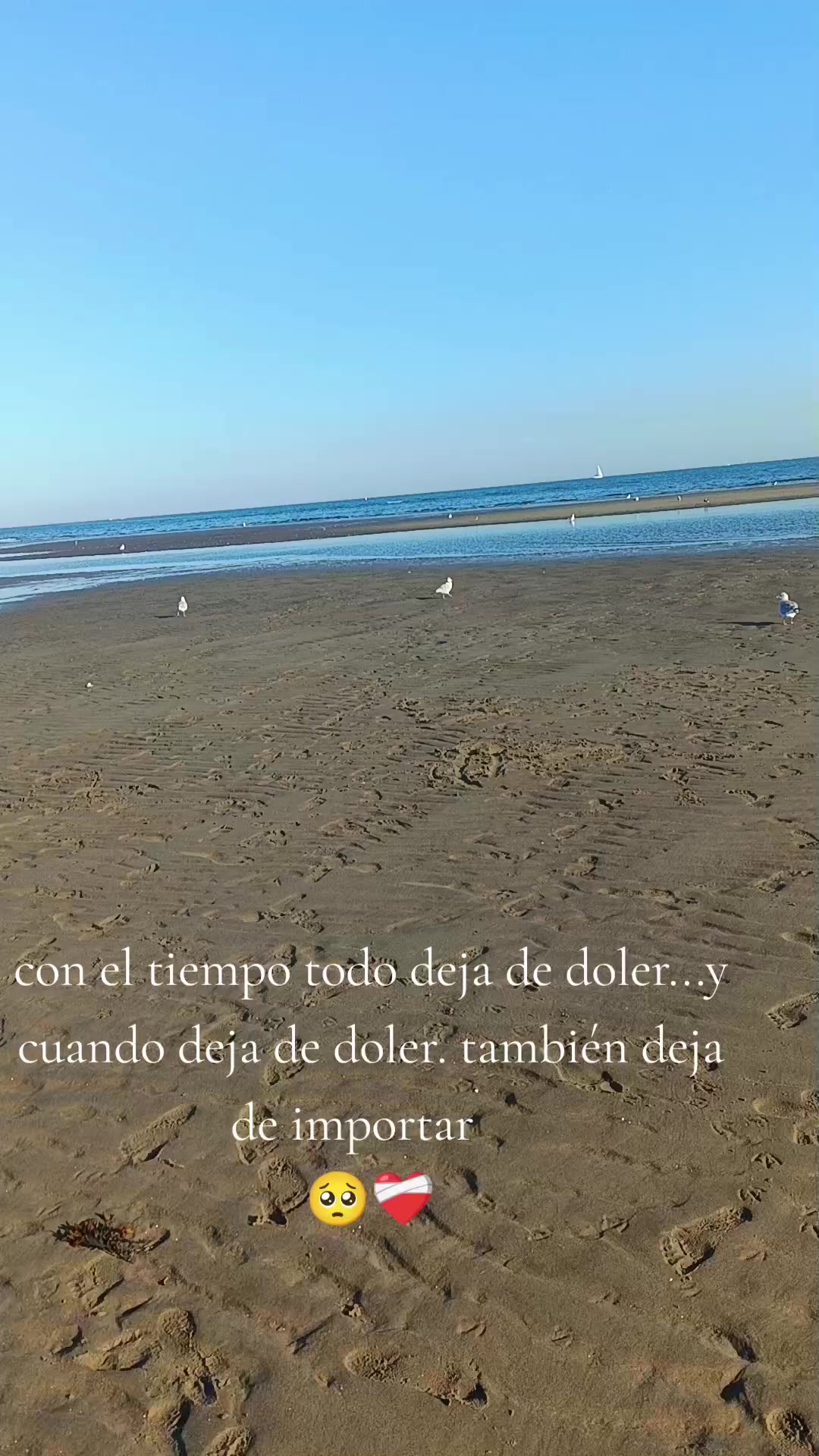 @🦋 jessy💞🦋