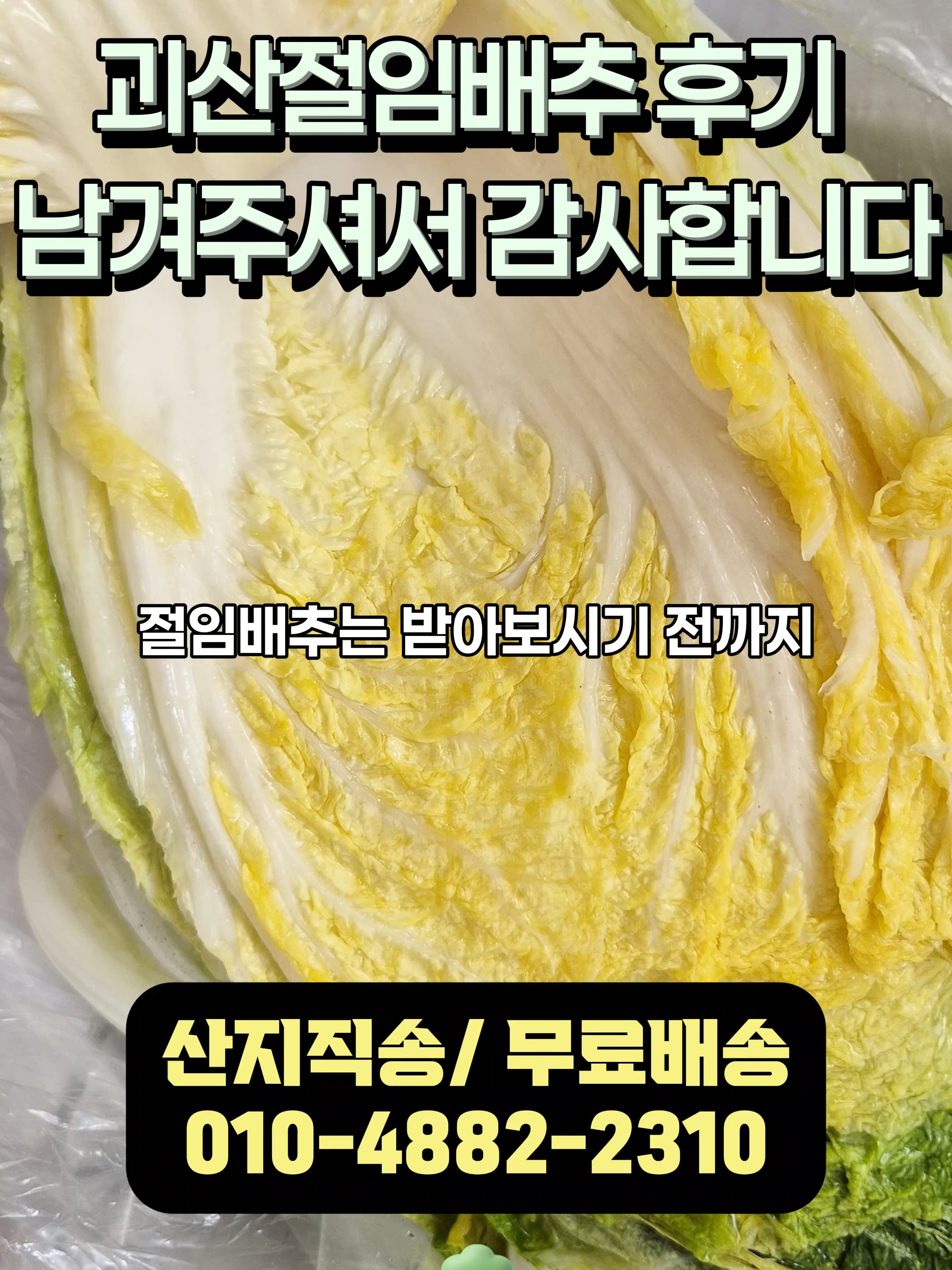 @아삭-괴산절임배추