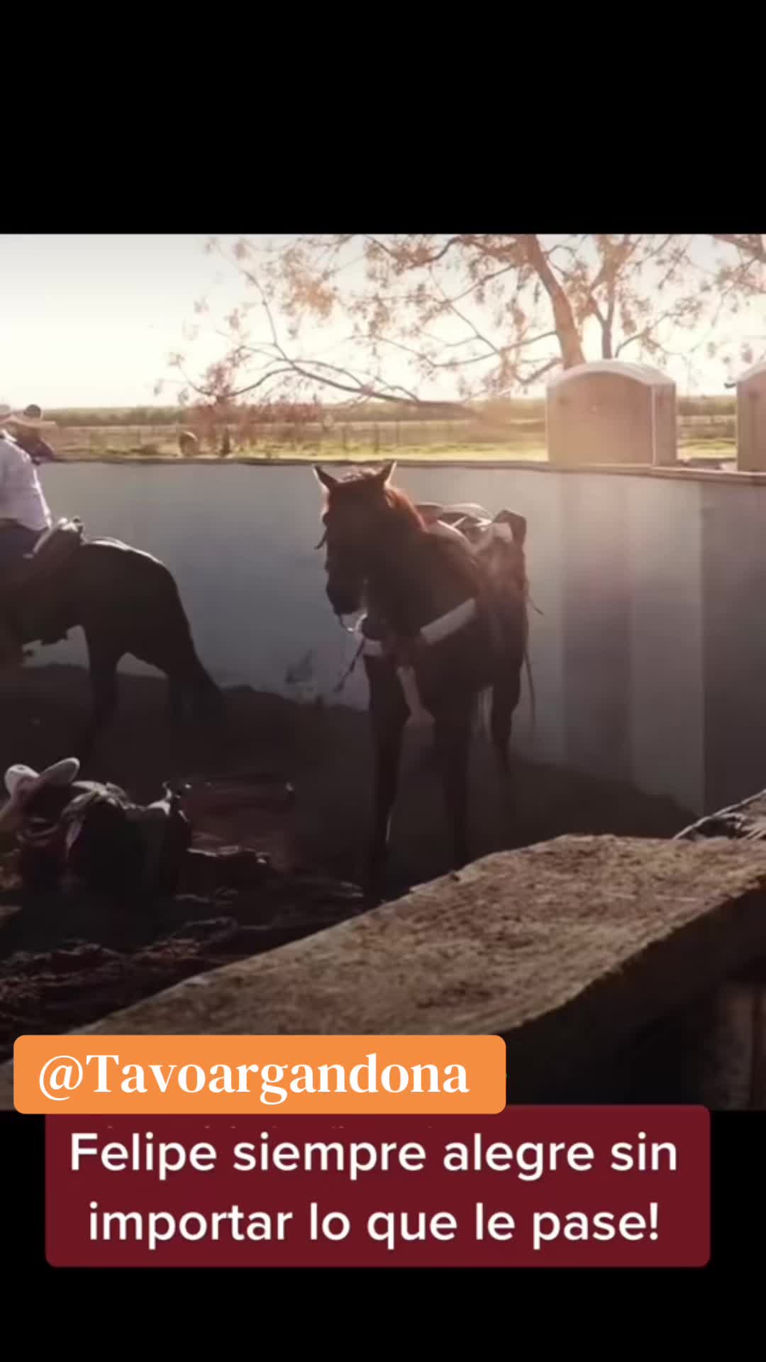 @Tavo argando&ntilde;a .