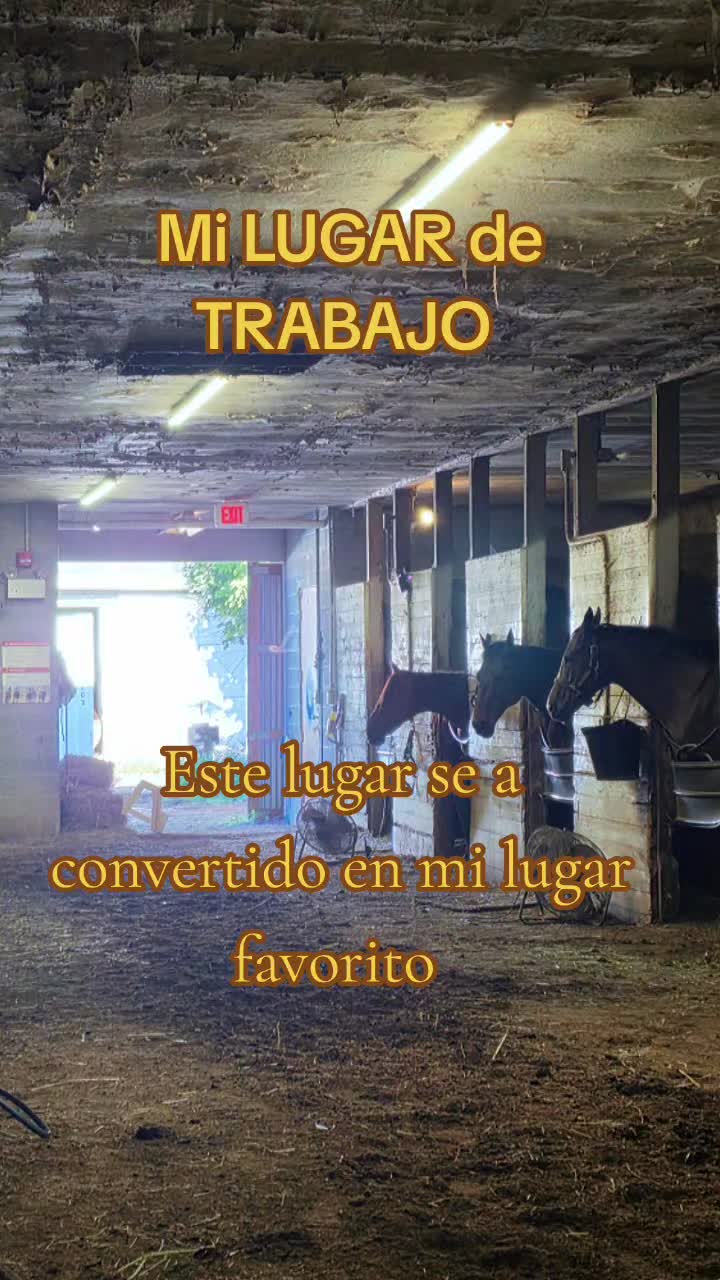@🇵🇷👀IRIS💋🇺🇲.O