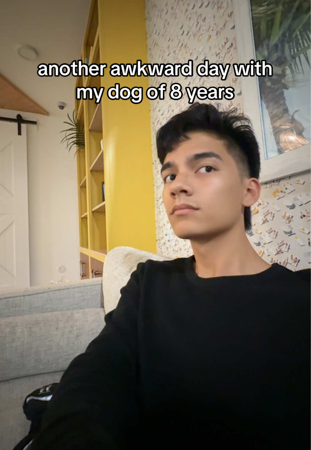 @Andrew Wassabi