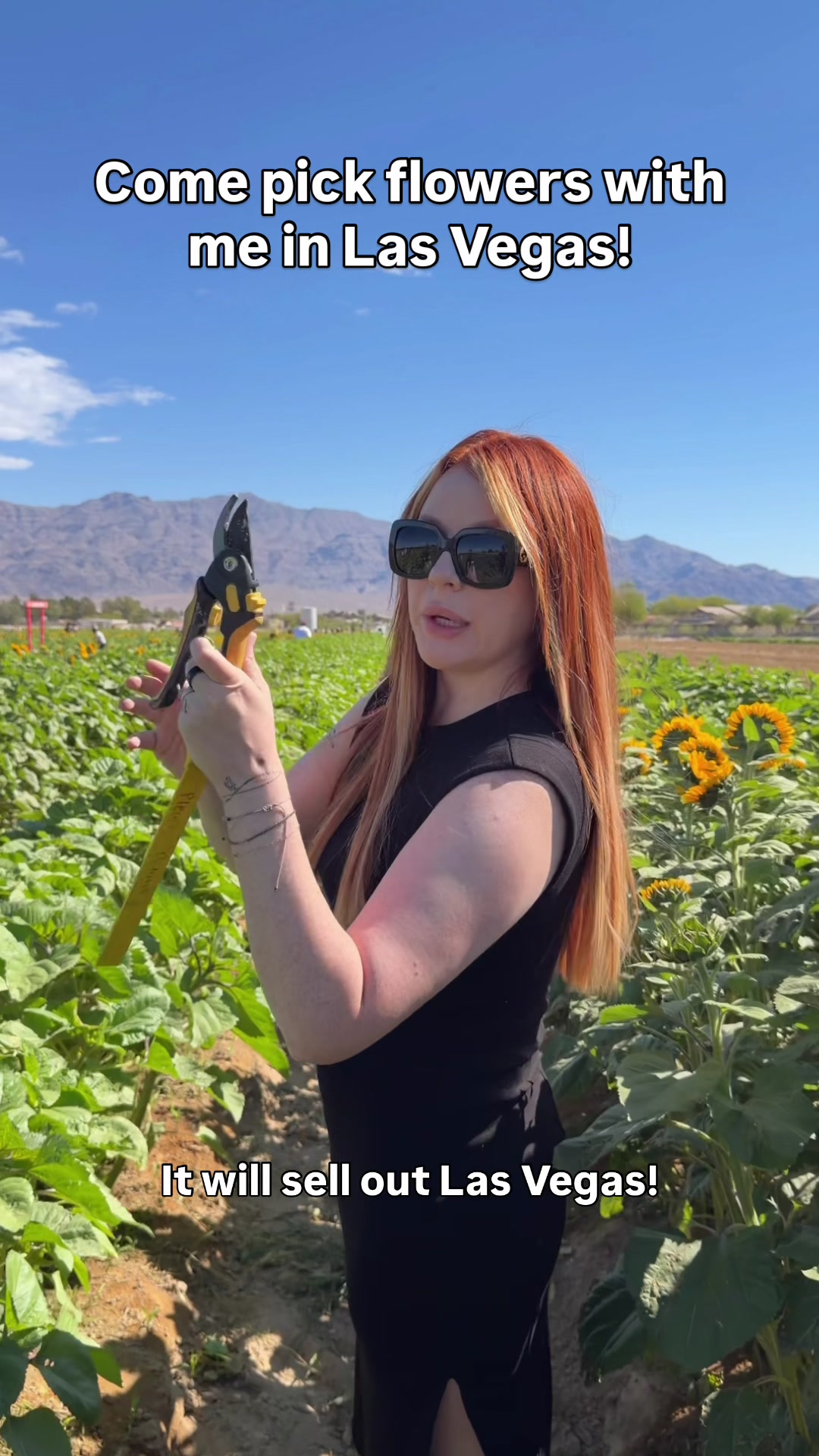@Heather Vegas