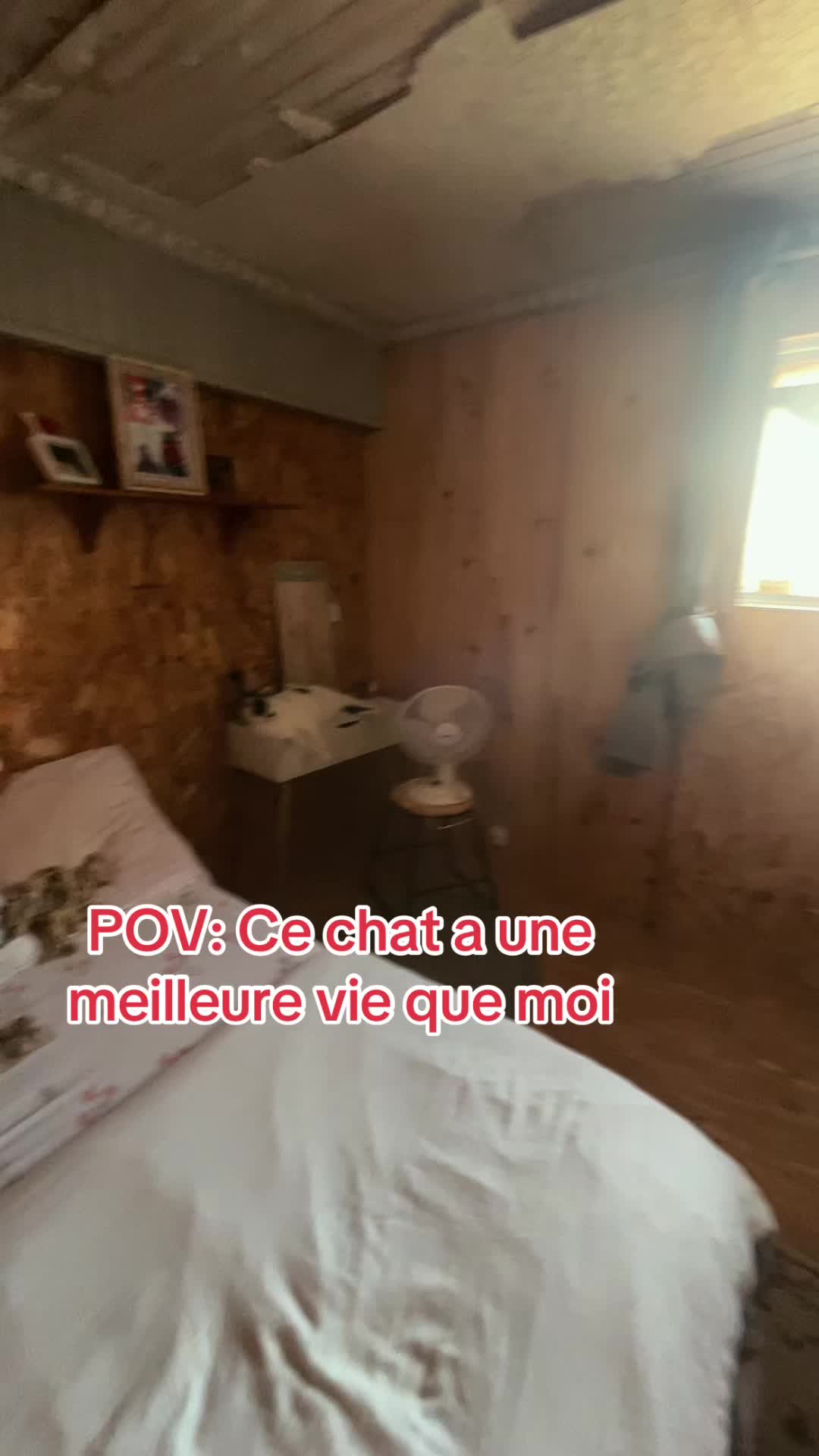 @Drôle de bête 😜
