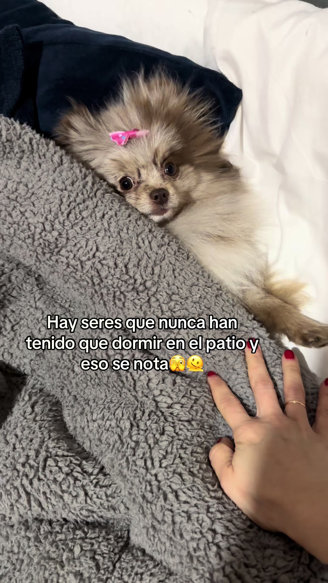 @leiidyvasquez26