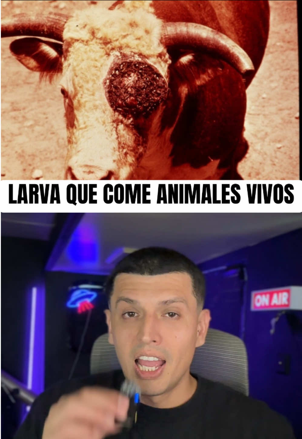 @NUEVO MILENIO