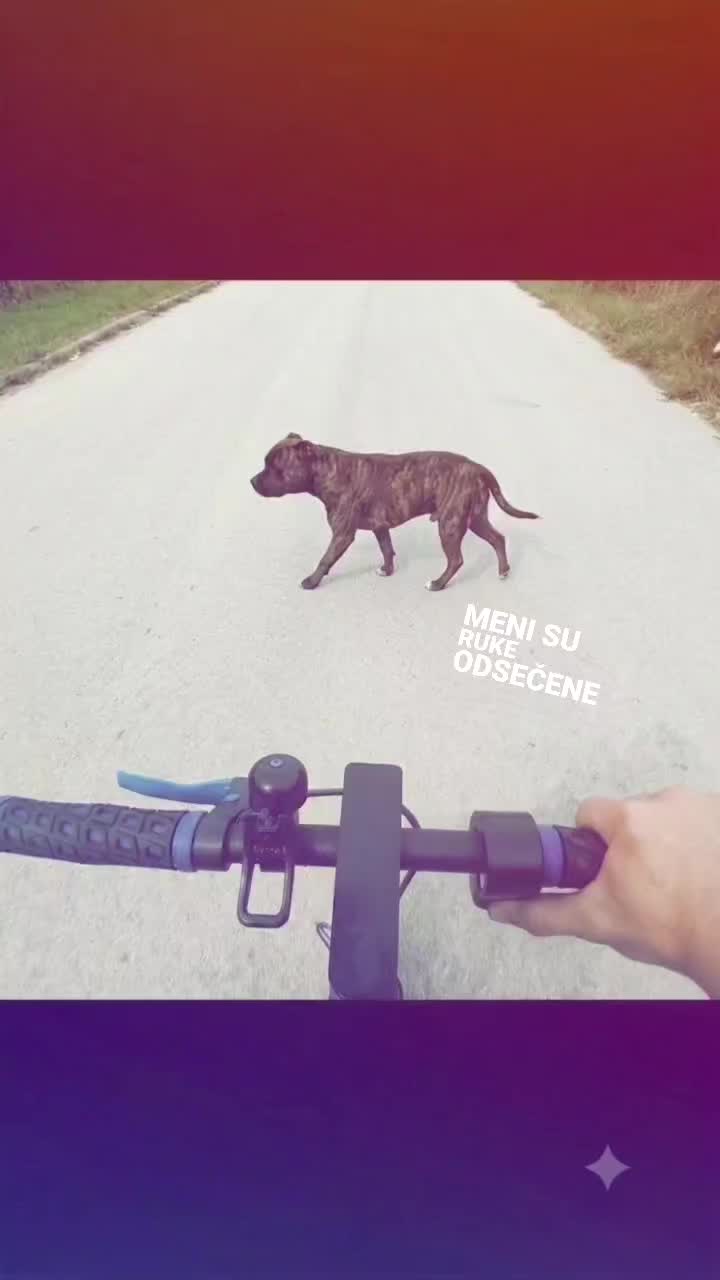 @😎LUKA🖤