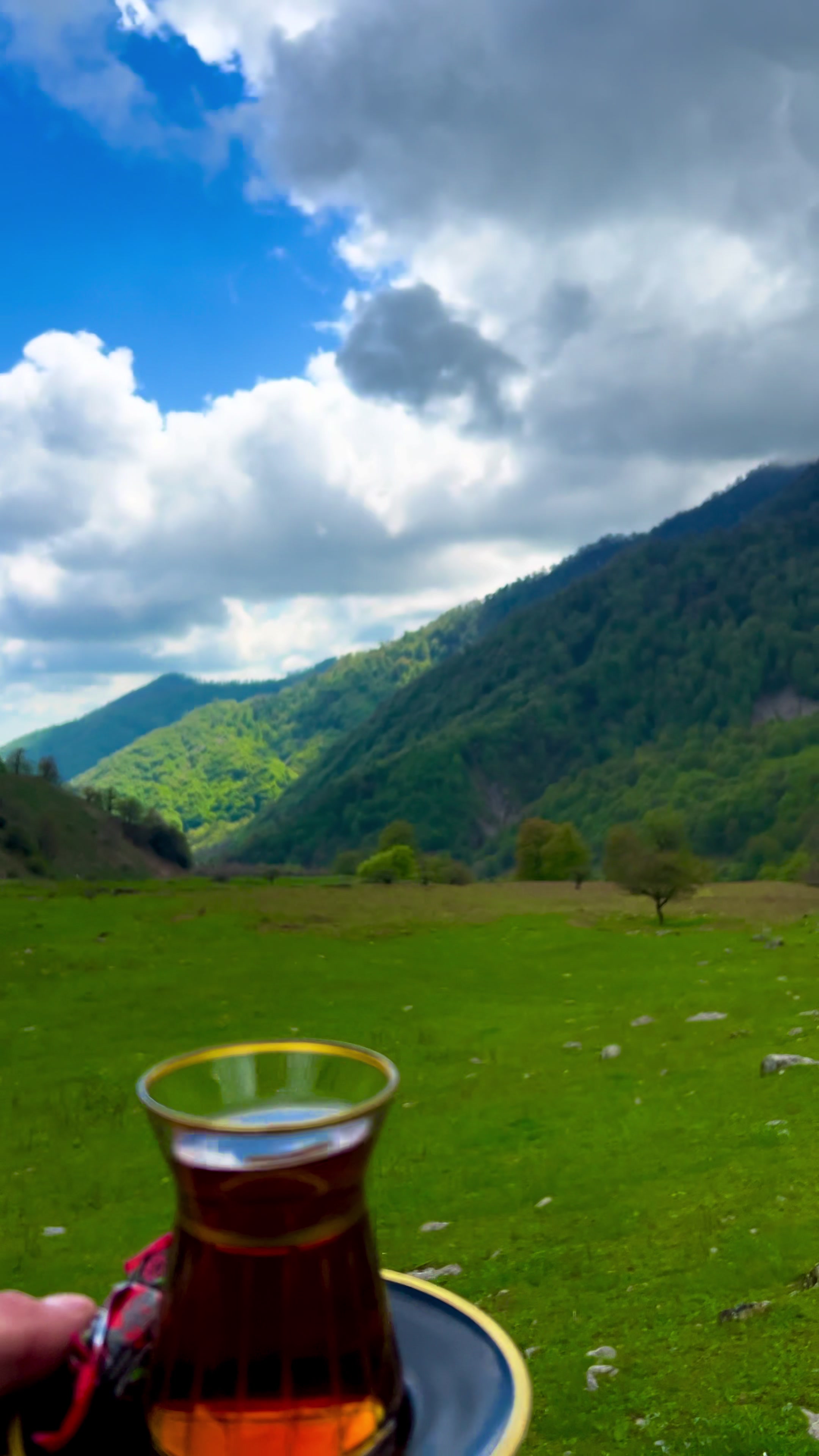 @𝑨𝒅𝒊𝒍𝒐𝒗🌿