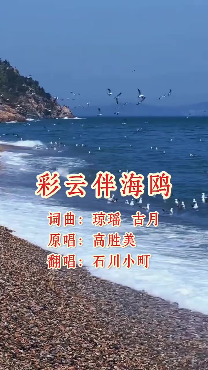 @美丽的世界