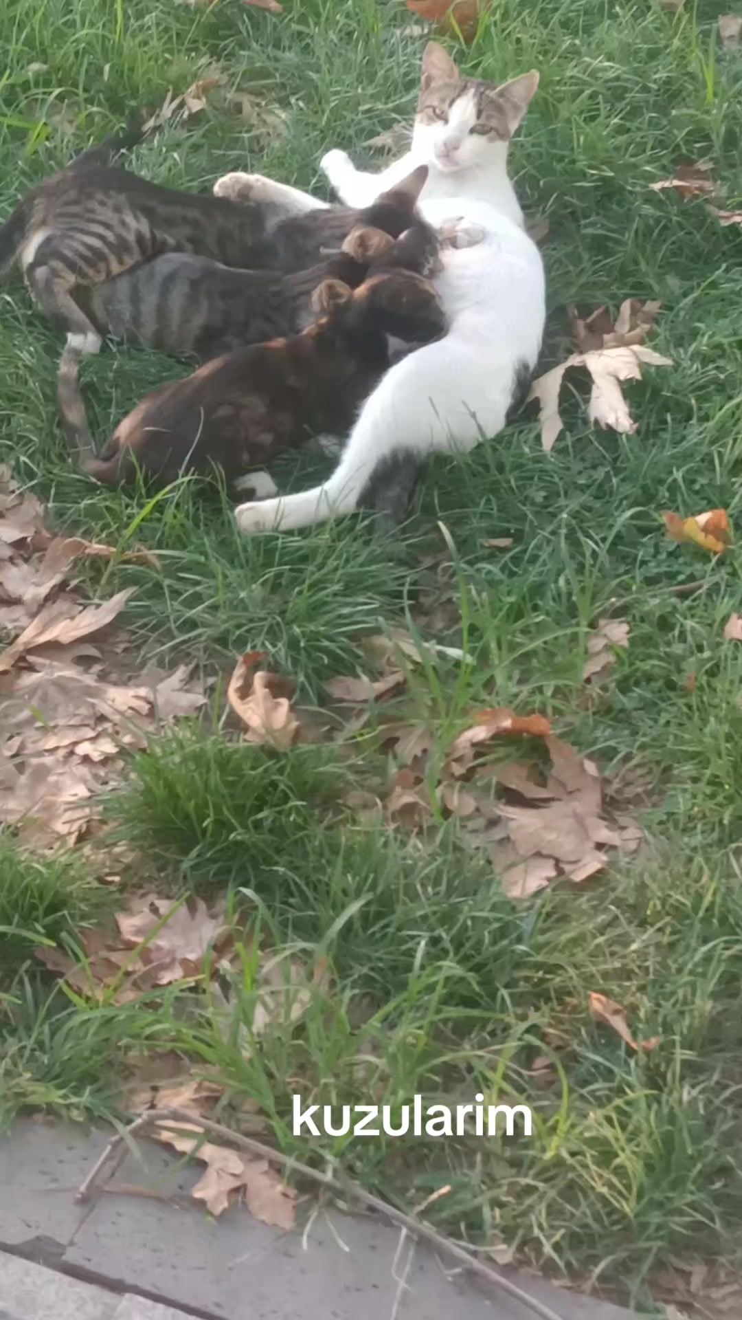 @minnoşlarim herşeyim♥️
