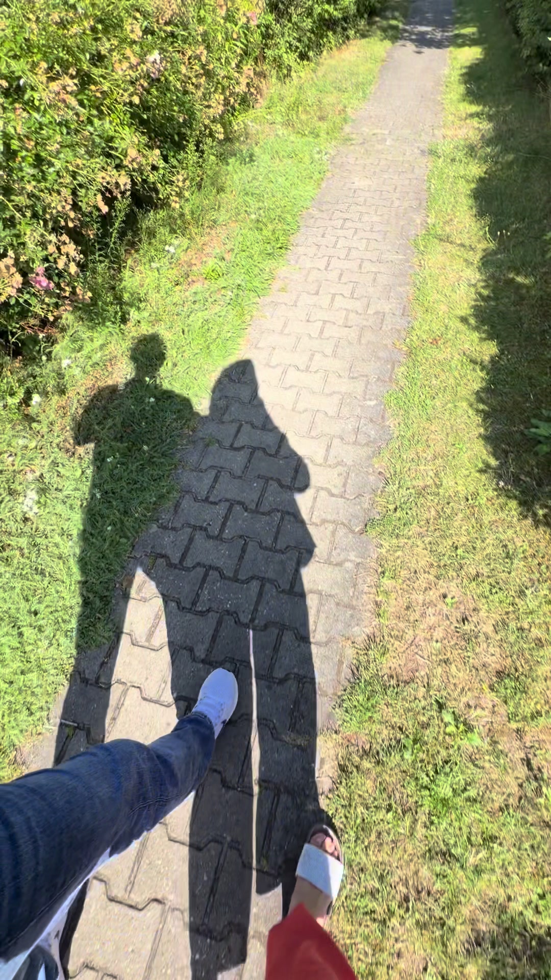 @SibelHanım🖤🐆