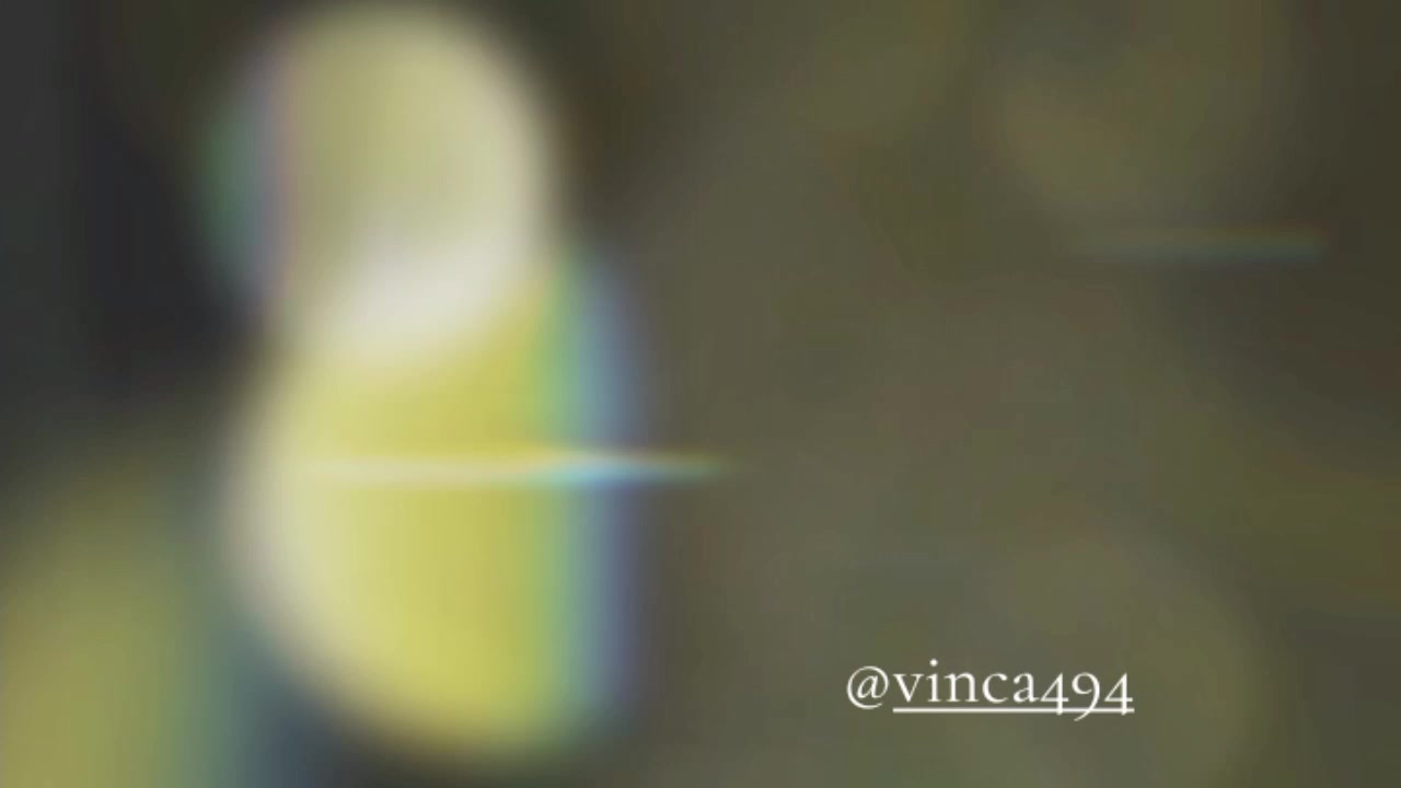 @vinca494
