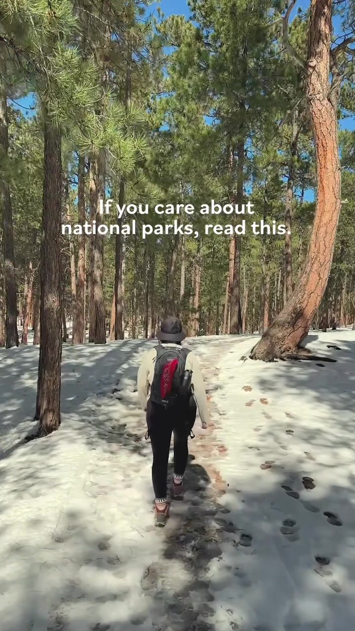 @Shannon | Nature Artist