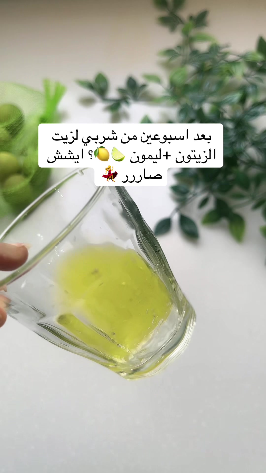 @فراشه 🦋