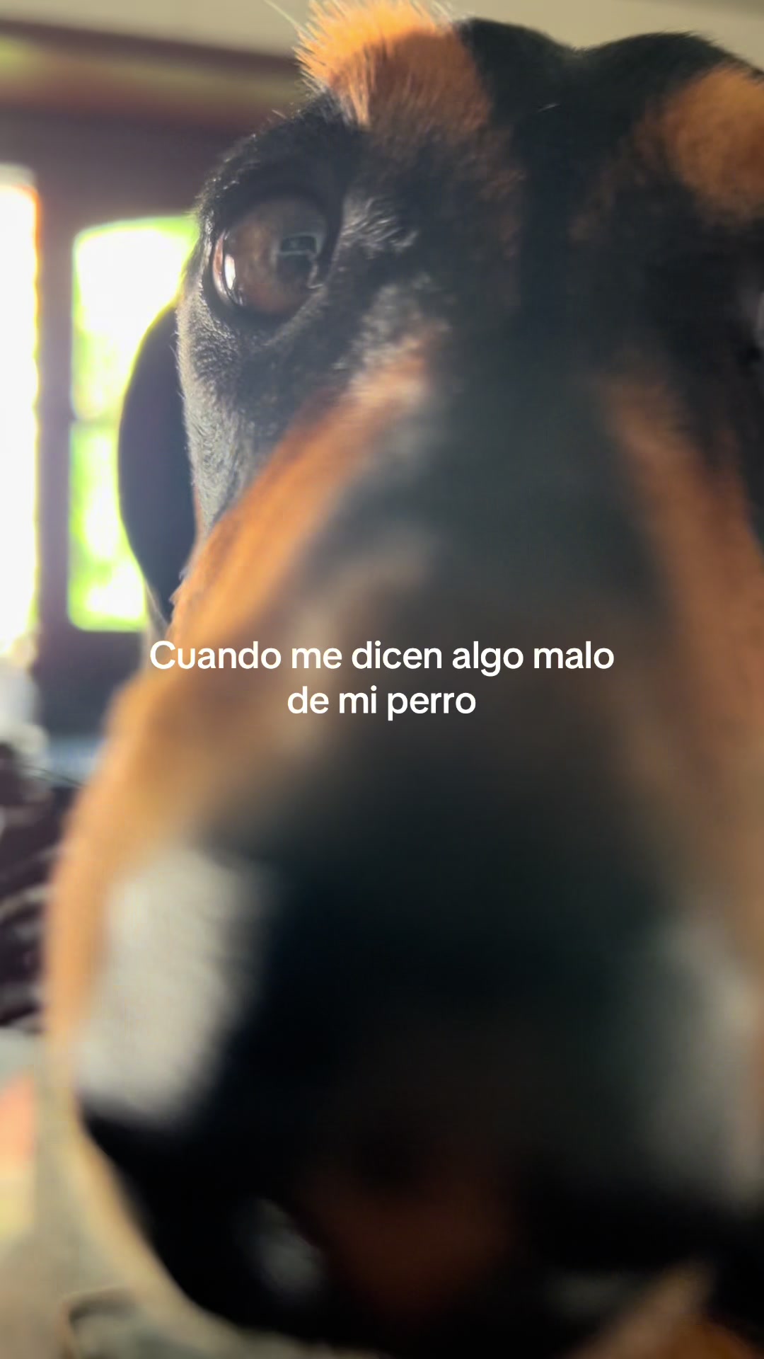 @Saray Reina