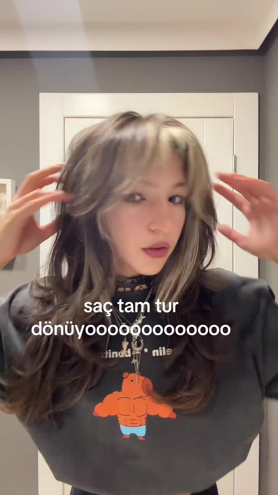 @sebnenn
