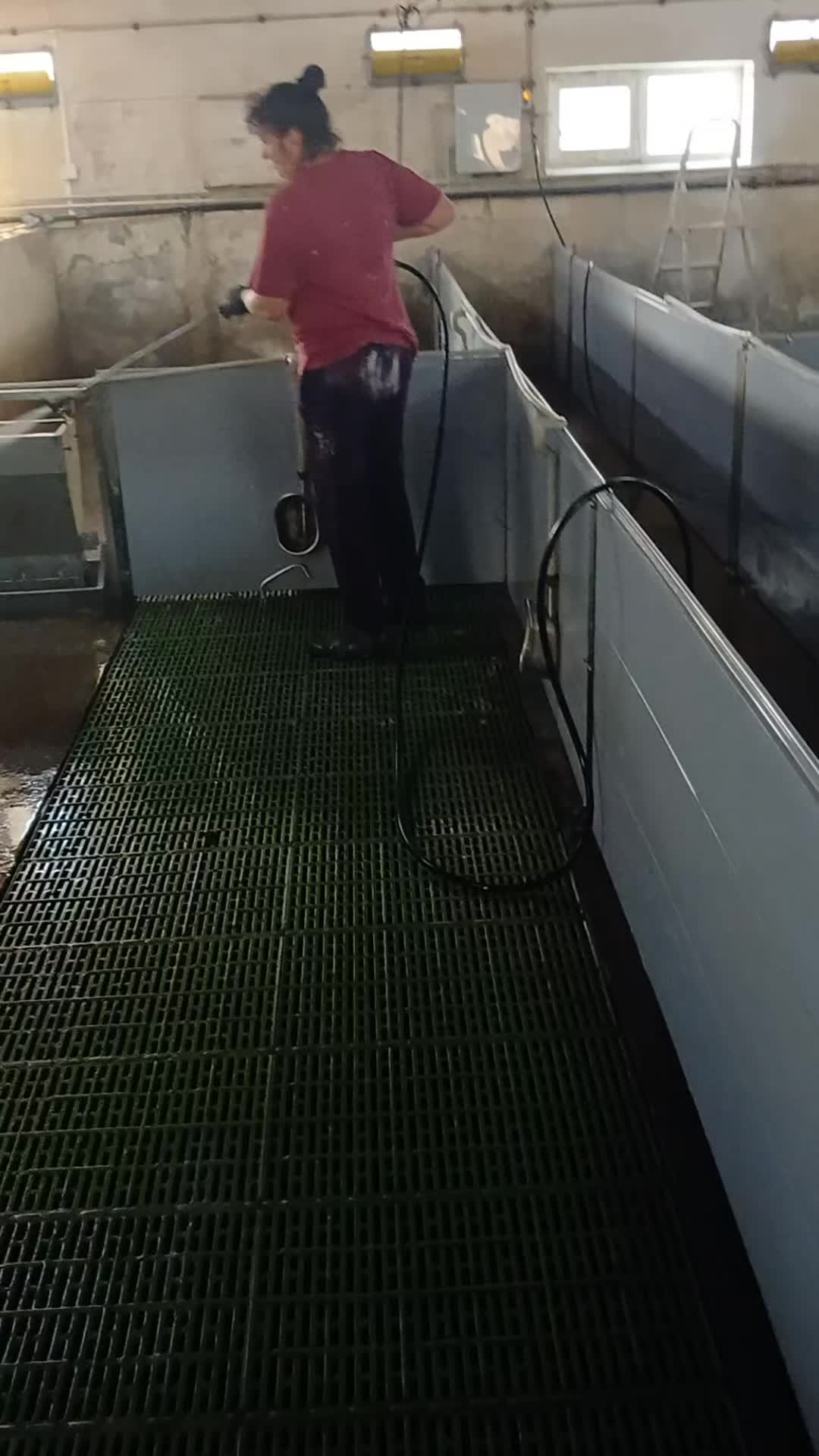@Тома