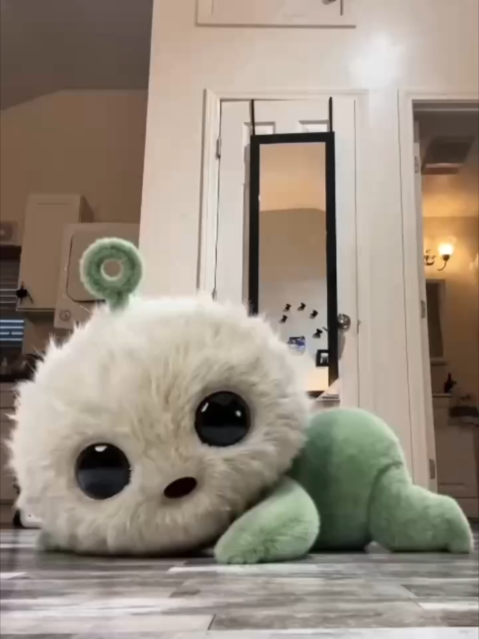 @Collartapp