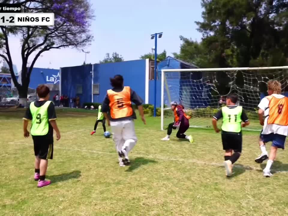 @tienleef1pdp8