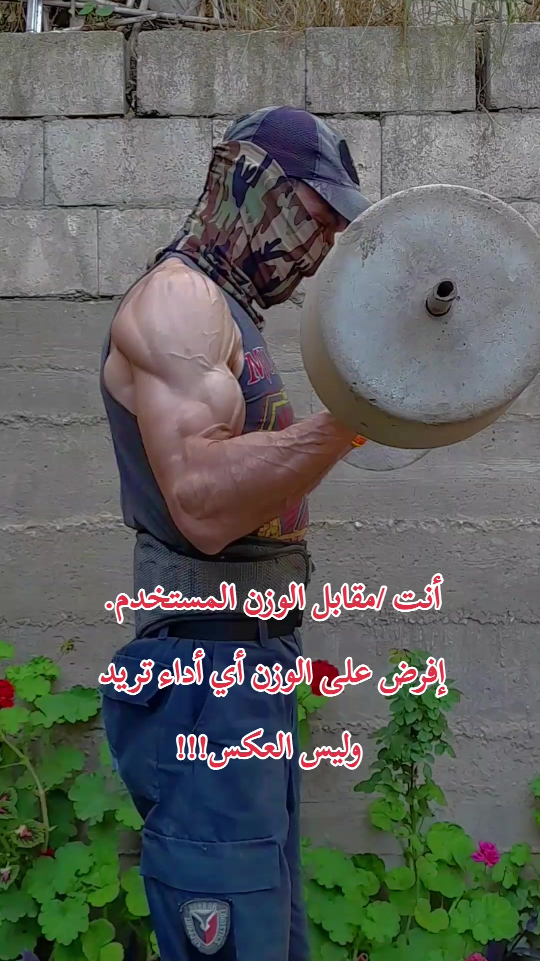 @عمرmerlaya2