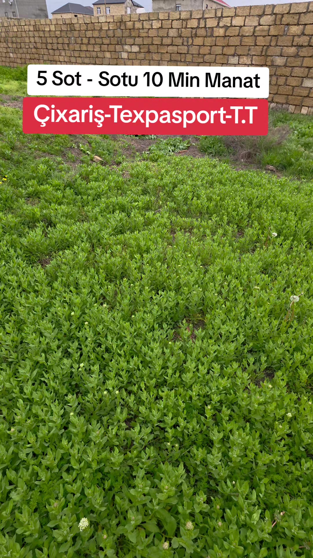 @sarayda_torpaqlar